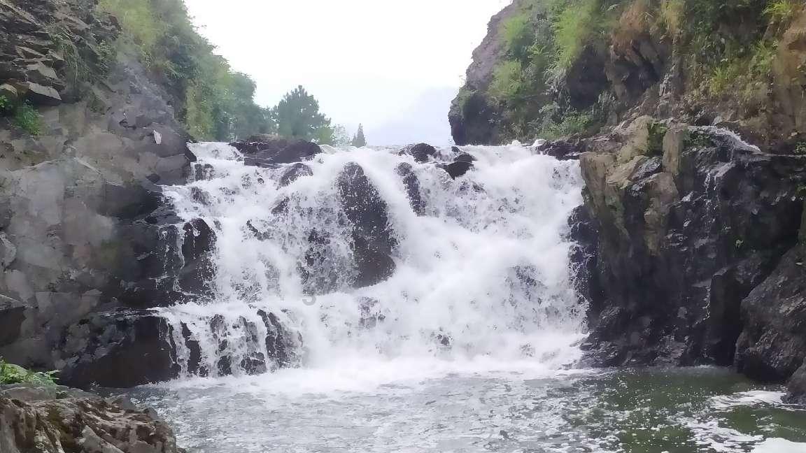 应对舆情关键在于解决问题